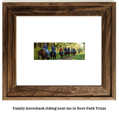 family horseback riding near me in Deer Park, Texas